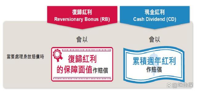 香港储蓄险分红利益解密：花钱方式变了，赚钱方式也得跟着变~(图8)