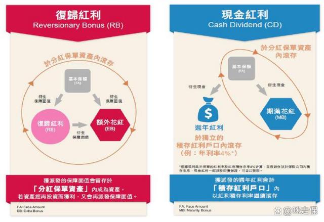 香港储蓄险分红利益解密：花钱方式变了，赚钱方式也得跟着变~(图10)